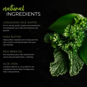 Tea Tree Mint Shampoo Bar