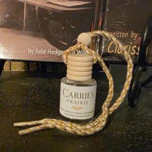 Car Diffuser